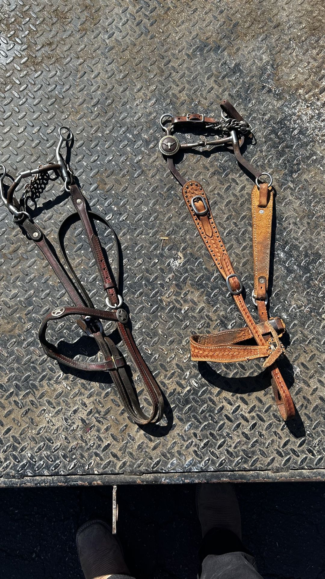Horse bridles W Bits