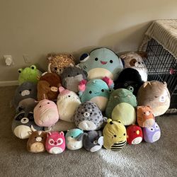 BULK or INDIVIDUAL Squishmallows Squishy Stuffed Animals ALL TAGS ON