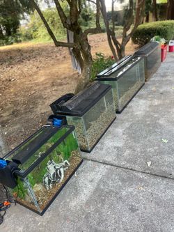 SALE ON ALL FISH TANKS