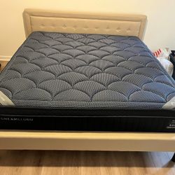 DreamCloud Premier Rest Hybrid - Cal King Mattress 