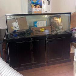 Fish Tank 50 Gallons
