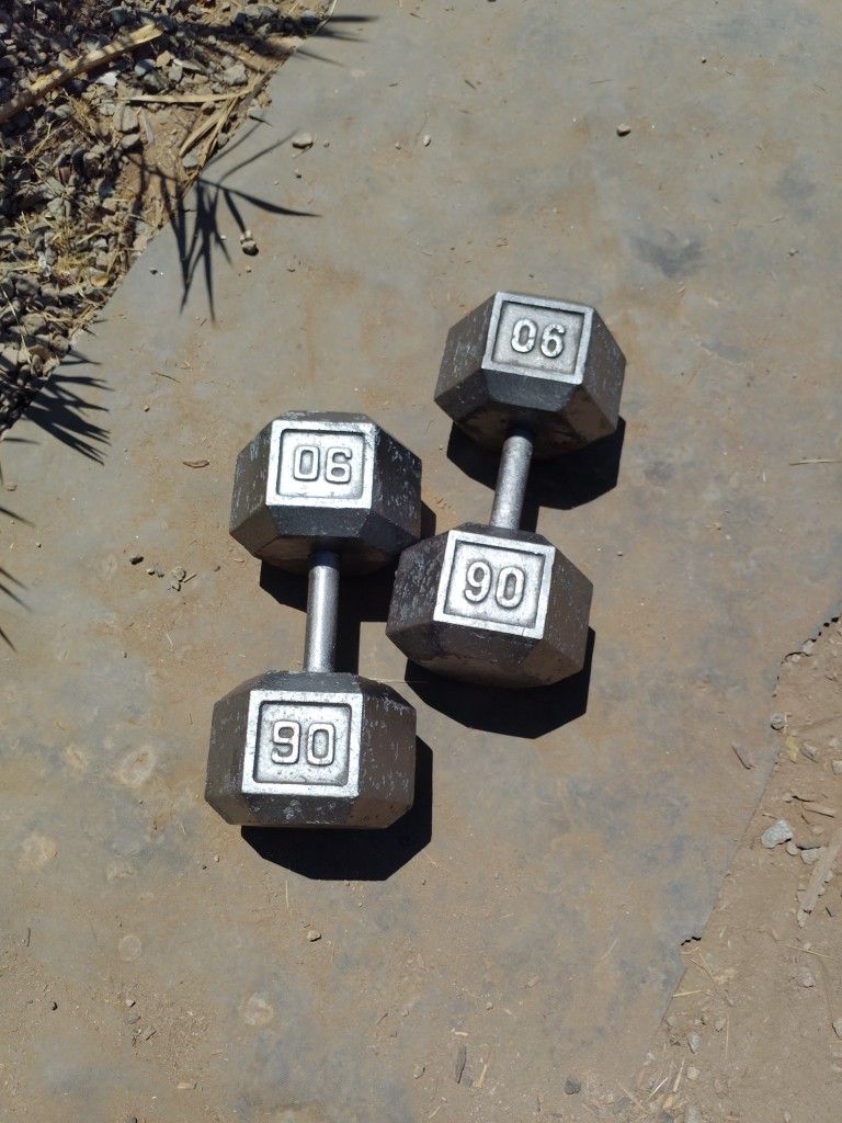 90lb Hex Dumbbells