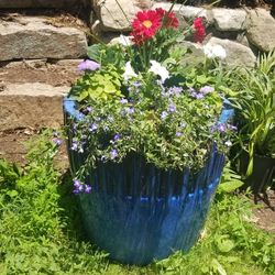 Beautiful Flower Arrangement In Ceramic  Pot