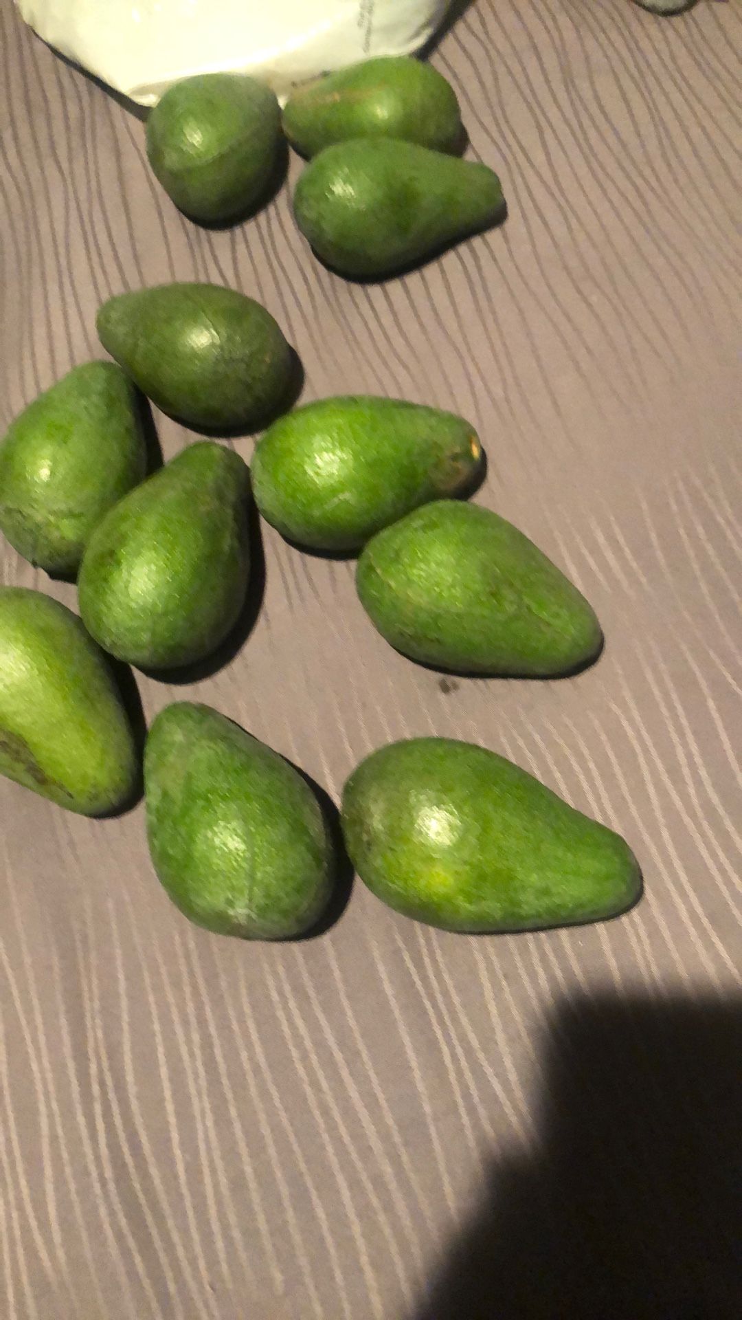 Aguacates Recién Cortados
