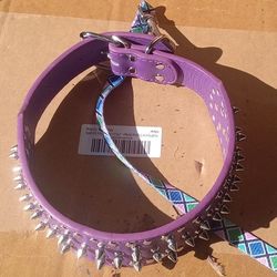 New Purple Spiked Medium Sized Dog Collar With New Leash 12 Firm
