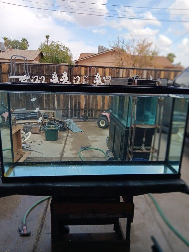 55 Gallon Fish Tank With Outside Pump