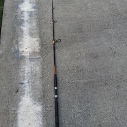 Ugly Stick Heavy Duty Fishing Rod 
