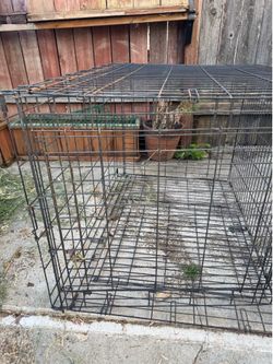 Dog crate