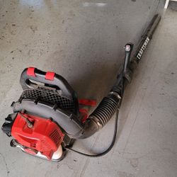 Gas Blower