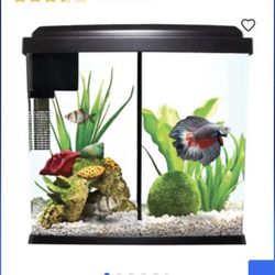 Betta Duo Aquarium 