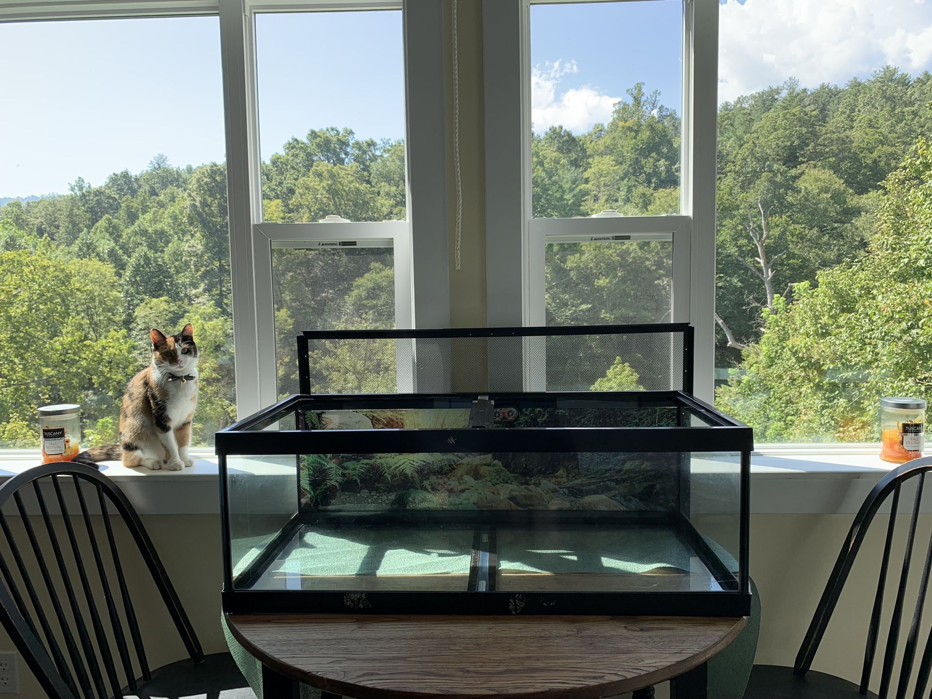 Selling Reptile Terrarium/Aquarium