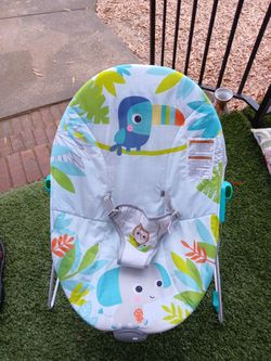 Baby Bouncer 