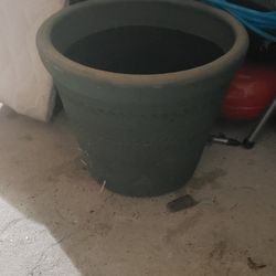Flower Pot