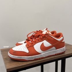 Nike dunks orange size 10