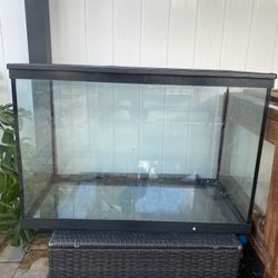 Glass Tank 