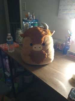 Squishmallow Dunkie Highland Cow Plush Toy Stuffed Animal 14 inch