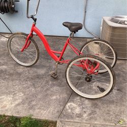 3 Wheel Adult Bicycle 
