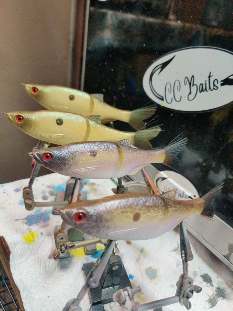 Swim Bait's 