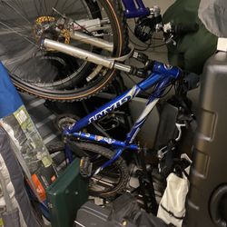 Giant Rainer BIKE MEDIUM DISC Mountain Bike 26