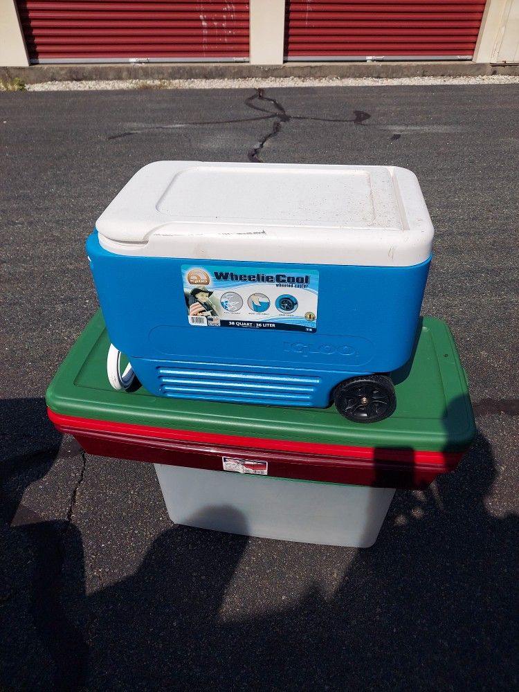 Cooler  38 quarts