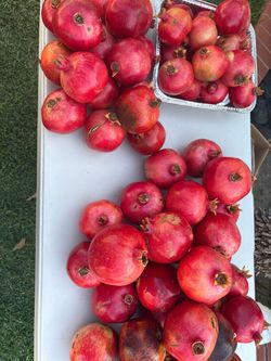 Pomegranates