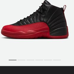 Air Jordan 12 Flu Game In Hand
