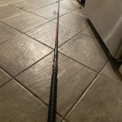 10'6" Ugly stick Salmon Steelhead Fishing Rod