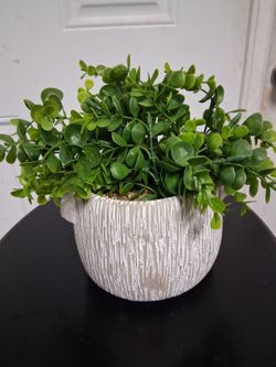 Fake plant decor
