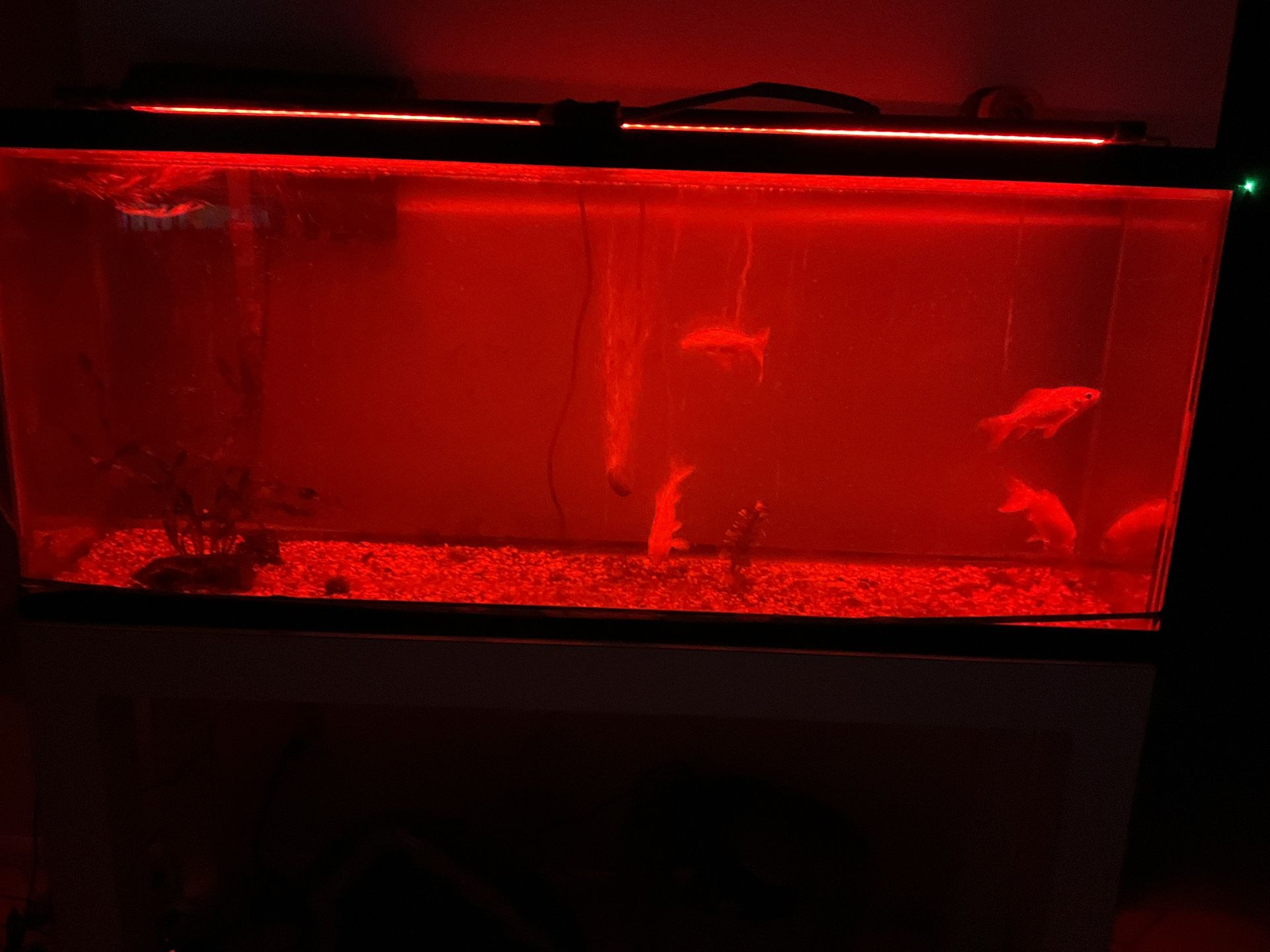 Aquarium Supplies (no Fish Tank Or Fish)