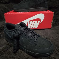 Dunks Sz 10.5 