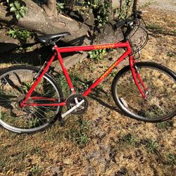 Specialized Hard Rock Mountain Bike VTG