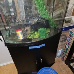 36gal Fish Tank
