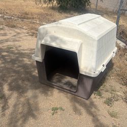 Xl Dog House