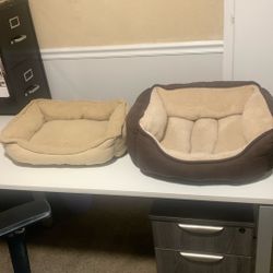 Cat Beds