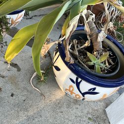 3 decorative Talavera-style ceramic pots