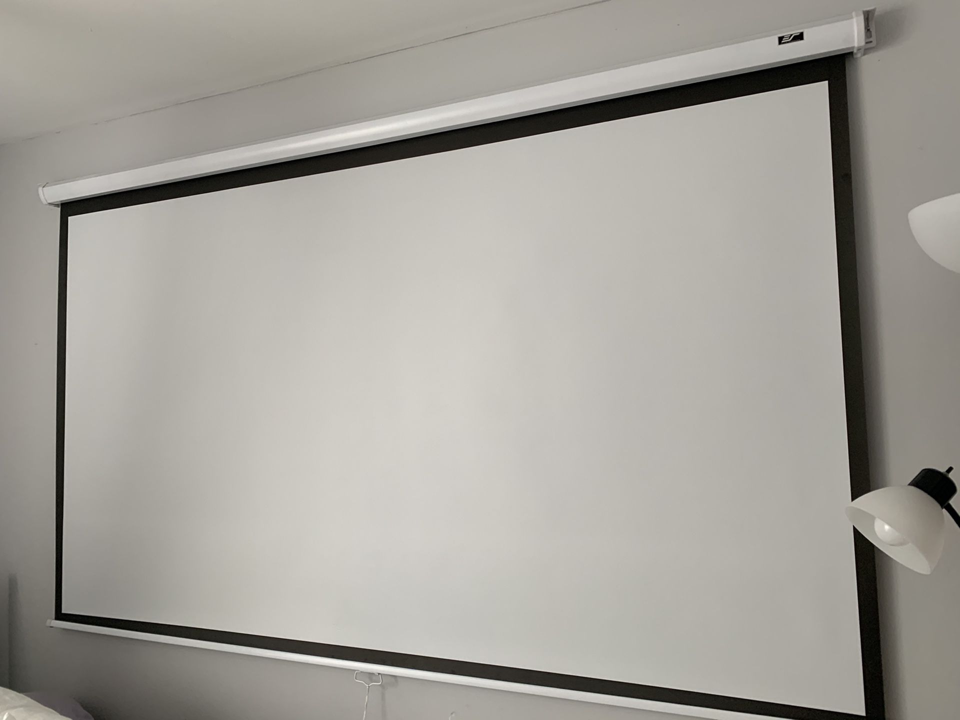 Projector Screen 📺