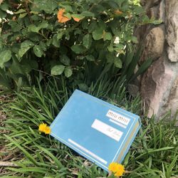 🌷MiU 🌈 Miu You Will love 💗 this Is much Very Much Beautiful- 🌺