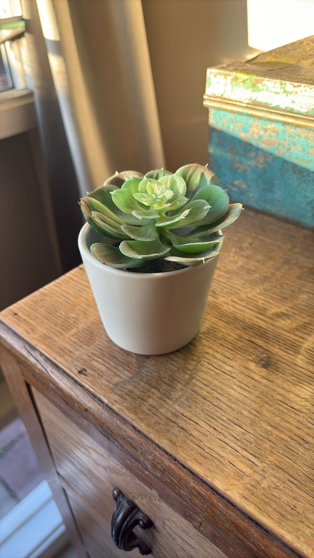 3” Potted Fake Succulent