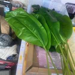 Long Bing Leaves
