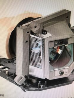 Rodin projector lamp replacement
