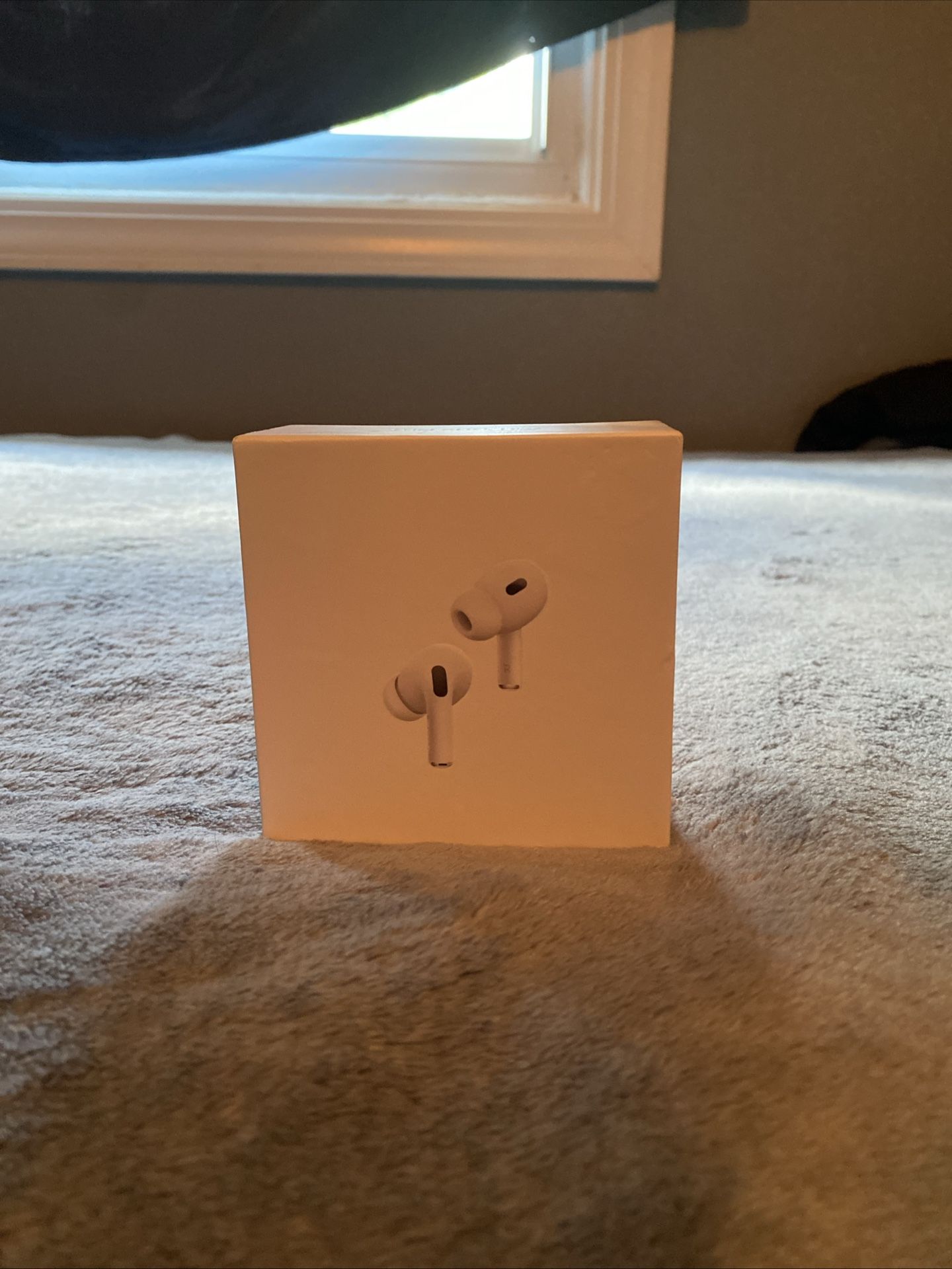 AirPod Pro 2an Generation (apple)