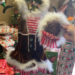 Gingerbread Girl Costume 🎄