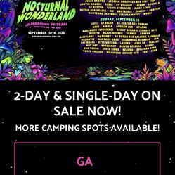 Nocturnal Wonderland Car As Camping