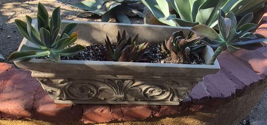 Rectangular hard plastic pot