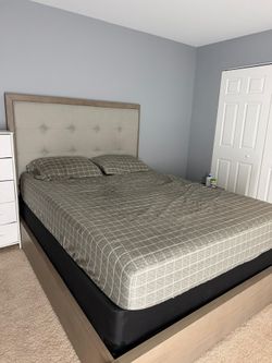 Light Greige Oak Queen Bed + Box Spring – Like New