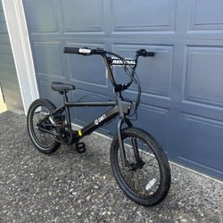 Electric Bike /bmx