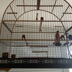 Bird Cage