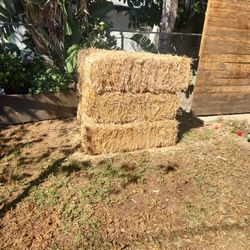 Hay 