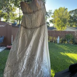 Plus Size Wedding Dress 