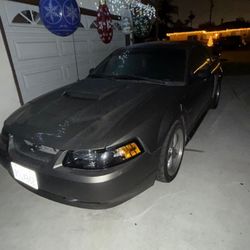 2002 Ford Mustang